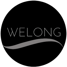 Welong Logo